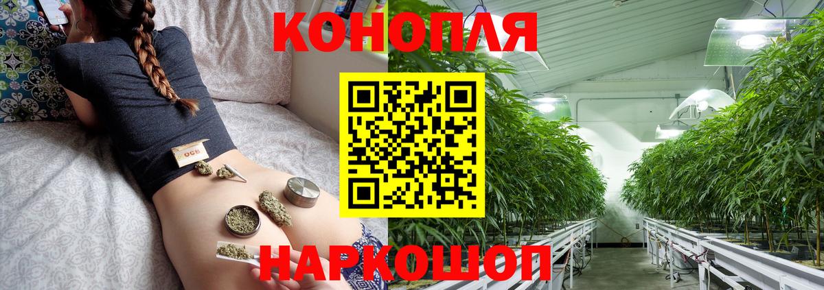 Каменск-Уральский  Каннабис конопля  Вход с VPN  Бошки марихуана конопля  Бошки Шишки White Widow 